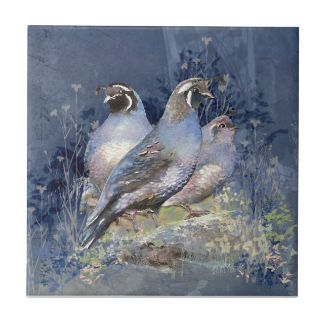 Carreau Watercolor California Quail Wildlife Bird (Devant)
