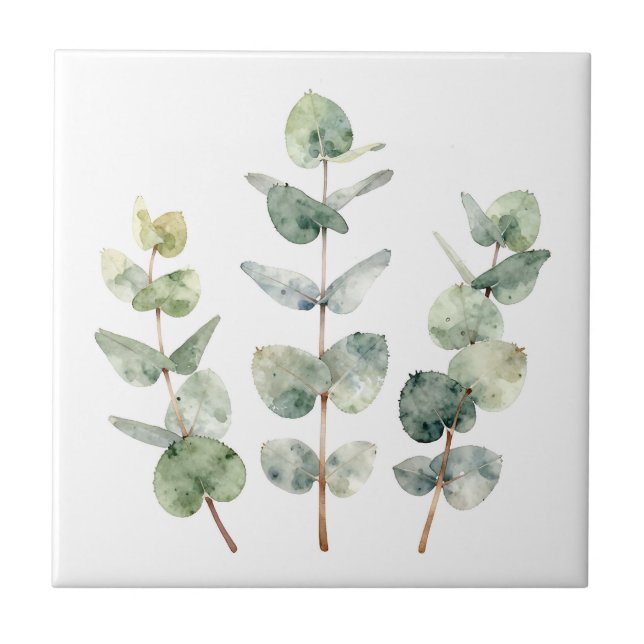Carreau Watercolor Eucalyptus Leaves Botanical (Devant)