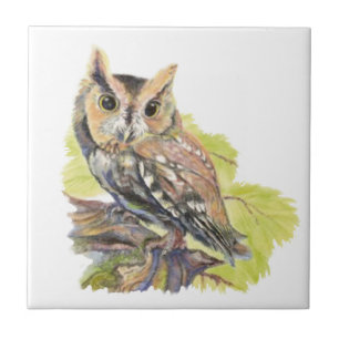 Carreau Watercolor Screech Owl Bird Wildlife