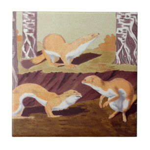 Carreau Weasel Animal Vintage Imprimer