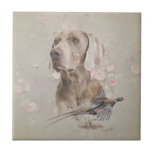 Carreau Weimaraner
