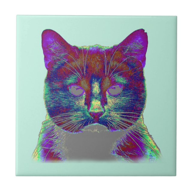 Carreau Weirdy Cat (Devant)