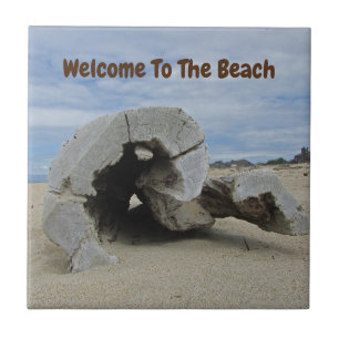 Carreau Welcome Beach House Driftwood Photo Pacific Ocean
