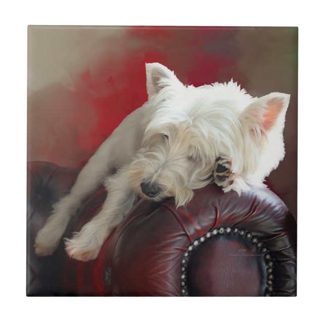 Carreau Westie au repos (Devant)