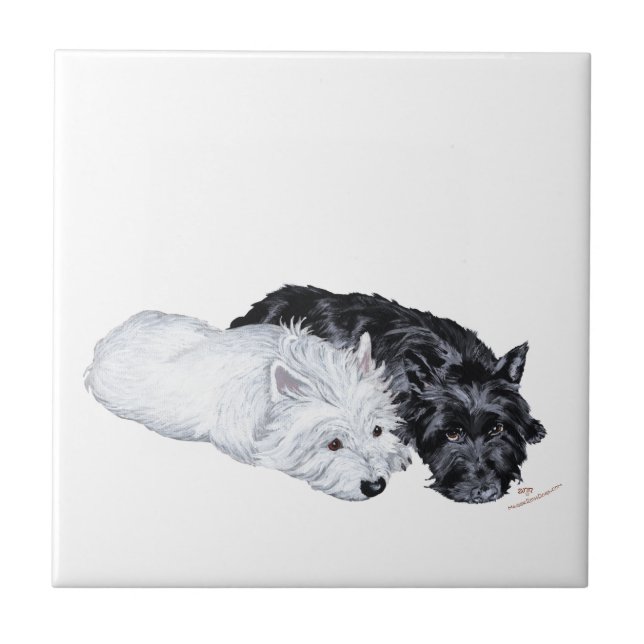 Carreau Westie et Scottie au repos (Devant)
