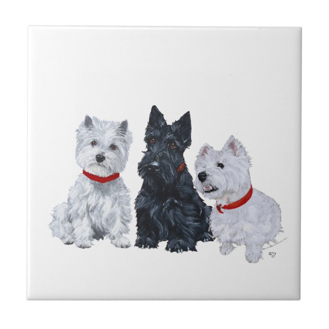 Carreau Westies et un Scottie ensemble (Devant)