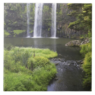 Carreau Whangarei Falls, Whangarei, Northland, New 2
