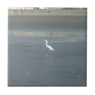 Carreau White Bird on Grey Sand Beach Art Imprimer