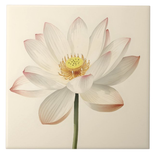 Carreau White Lotus Flower (Devant)