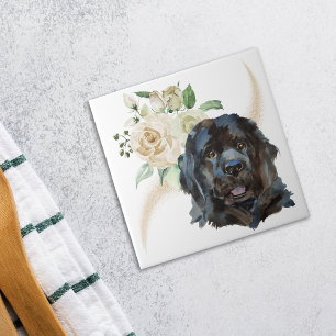 Carreau White Rose Bouquet Newfoundland Dog