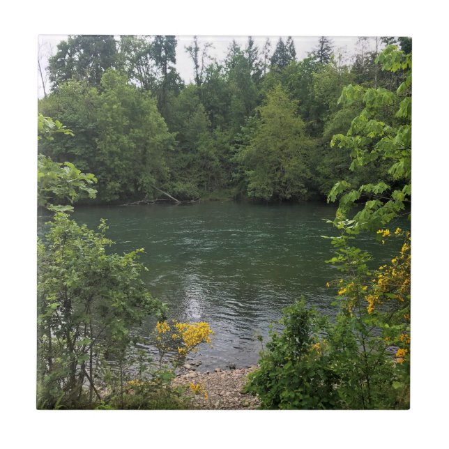 Carreau Willamette River, Elijah Bristow State Park (Devant)