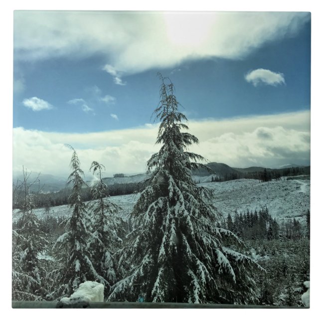 Carreau Winter dans la Tillamook State Forest, Oregon (Devant)