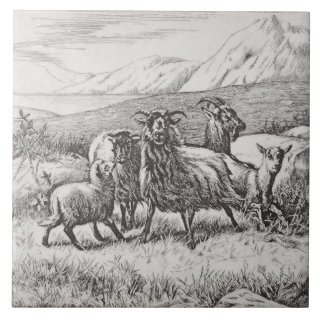 Carreau Wm Wise Minton Farm Animals Chèvres Tile Repro c18 (Devant)