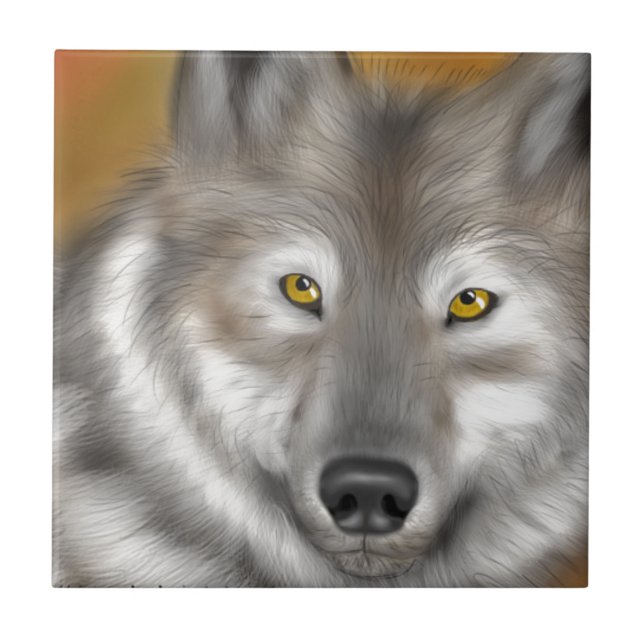 Carreau WolfPractice.png (Devant)