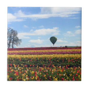 Carreau Wooden Shoe Tulip Farm, Woodburn, Oregon