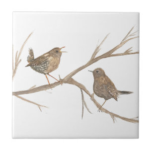 Carreau Wren Bird Faune Aquarelle Art Cute