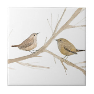 Carreau Wren Bird Faune Aquarelle Art Cute