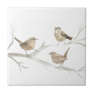 Carreau Wren Bird Faune Aquarelle Art Cute