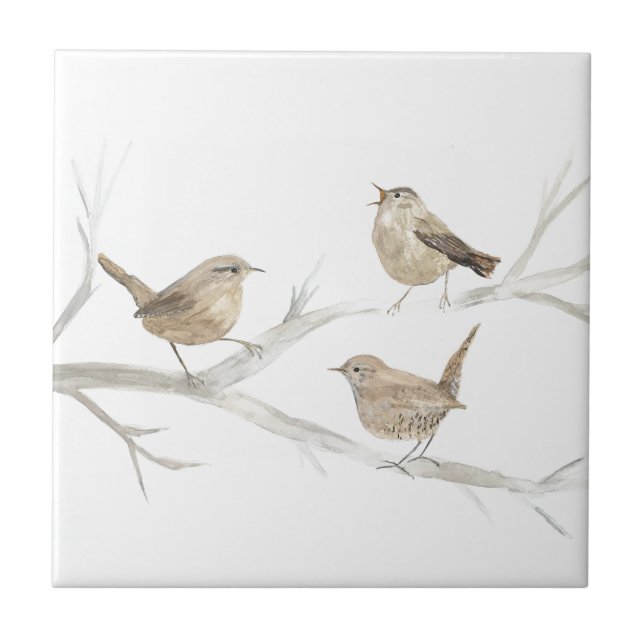 Carreau Wren Bird Faune Aquarelle Art Cute (Devant)