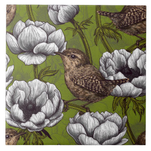 Carreau Wrens in the white anemone garden