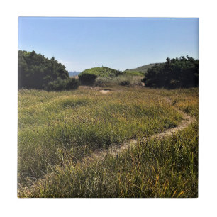 Carreau Yaquina Bay State Recrereation Site, Newport, Oreg