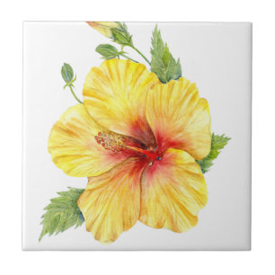 Carreau Yellow Hibiscus Botanical