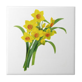 Carreau Yellow Narcissus par Pierre Joseph Redoute