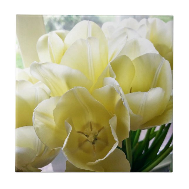 Carreau Yellow Tulip Bouquet (Devant)