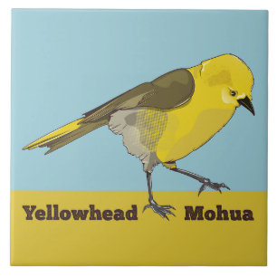 Carreau Yellowhead Mohua
