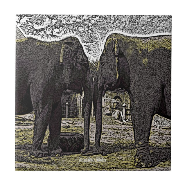Carreau Yeux éléphants (Devant)