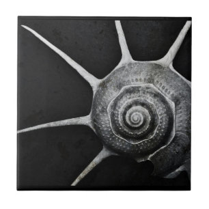 Carreau Yoka Shell couvrent de tuiles