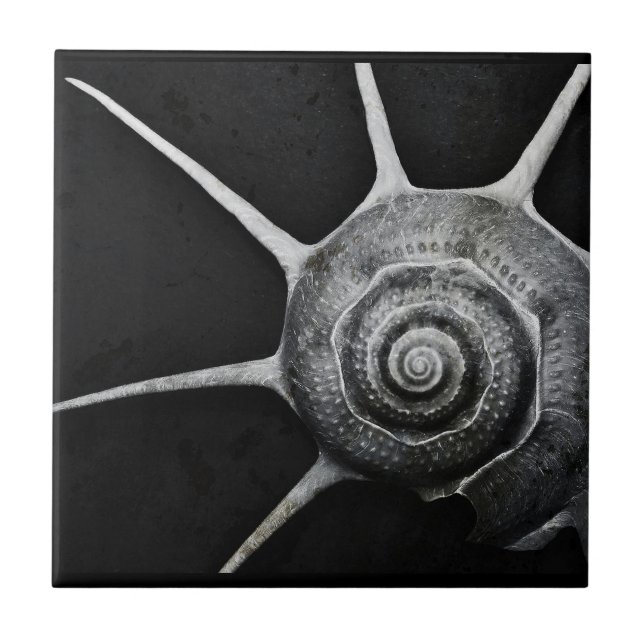 Carreau Yoka Shell couvrent de tuiles (Devant)