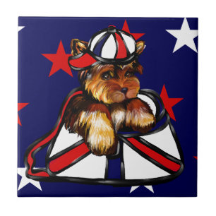 CARREAU YORKIE POO