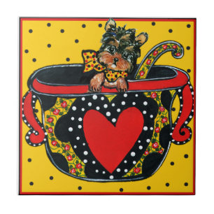 Carreau Yorkie Poo