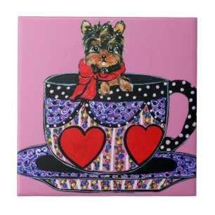 Carreau Yorkie Poo