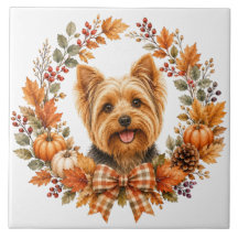 Yorkshire Terrier Automne