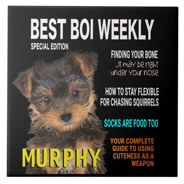 Carreau Yorkshire Terrier Parody Magazine Couverture (Devant)