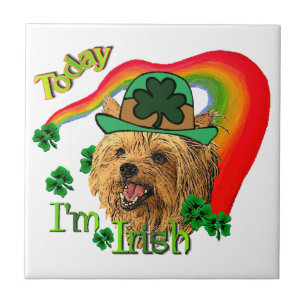Carreau Yorkshire Terrier St patrick