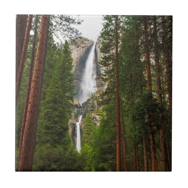 Carreau Yosemite Falls à travers la forêt (Devant)