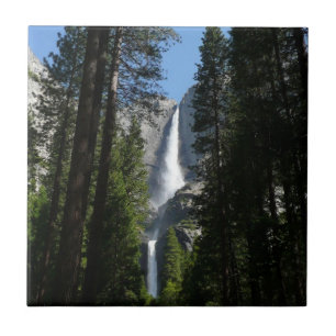 Carreau Yosemite Falls et Woods Paysage Photographie