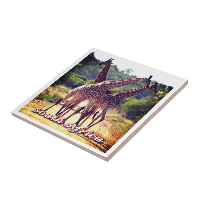 Carreau ZA011 AFRIQUE DU SUD, Giraffes, (Côté)