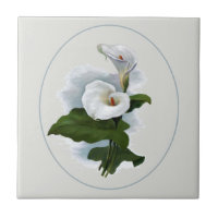 Zantedeschias blancs élégants
