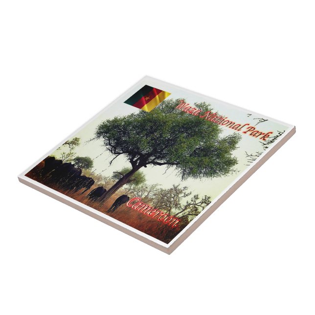 Carreau zCM007 WASA N.P. Camerron, Afrique, (Côté)