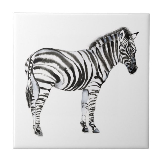Carreau Zebra (Devant)