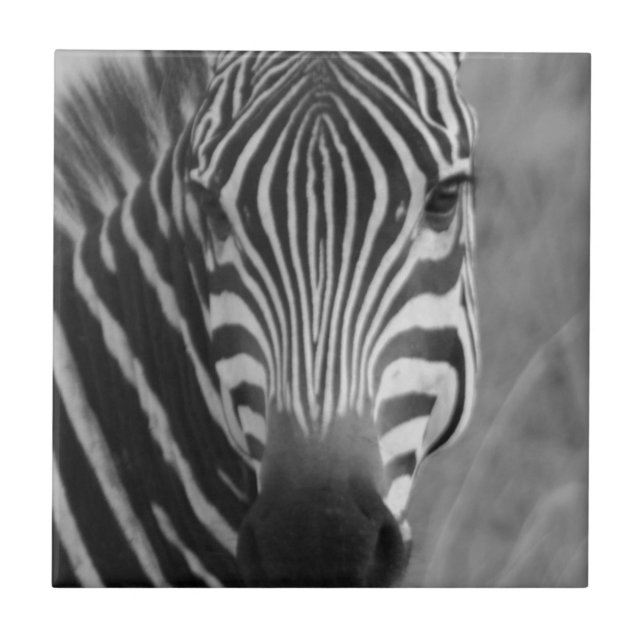 Carreau Zebra Safari mignon Classic Africain rayures (Devant)