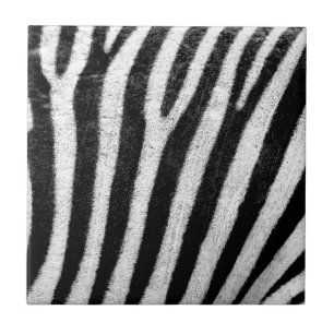 Carreau zebra Stripes