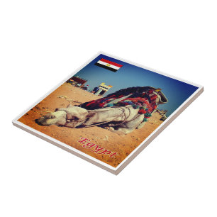 Carreau zEG021 EGYPT, Camel, Afrique,