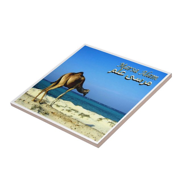 Carreau zEG047 MARSA ALAM, mer Rouge, Égypte, (Côté)