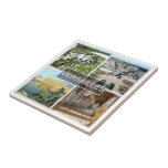 Carreau zFR042 VERSAILLES Le Palais, France,<br><div class="desc">Vous y trouverez le souvenir de vos vacances. Cette catégorie contient des carreaux en céramique de nombreux endroits en France. (zFR042 VERSAILLES Le Palais, France, carrelage en céramique). Amaze amis et parents avec les souvenirs uniques de votre voyage. Essaie-nous ! #LeoPepeDesign - le palais de versailles, le hall des miroirs,...</div>
