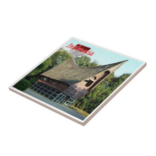 Carreau zID008 BATAK TOBA houde, Indonésie, Asie,